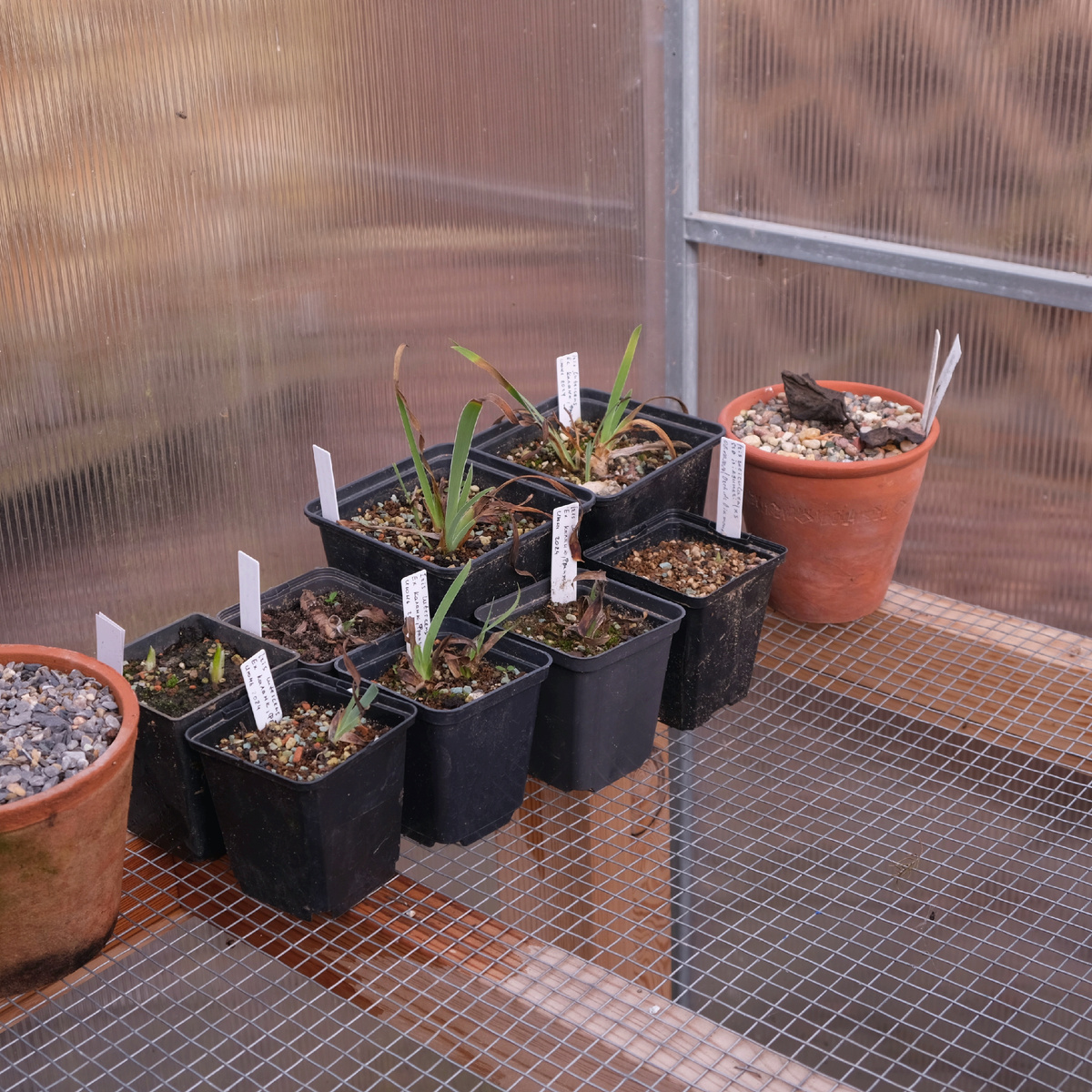 Кое-что из зимовальной ямы