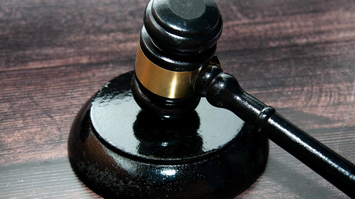    Фото: Svetlana Vozmilova/globallookpress.com