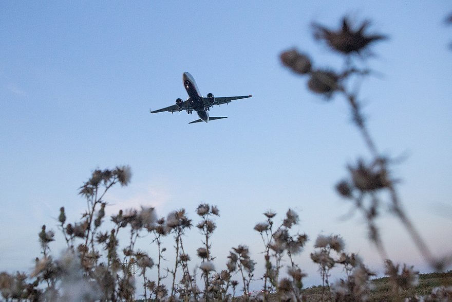    Фото: «Лента.ру»