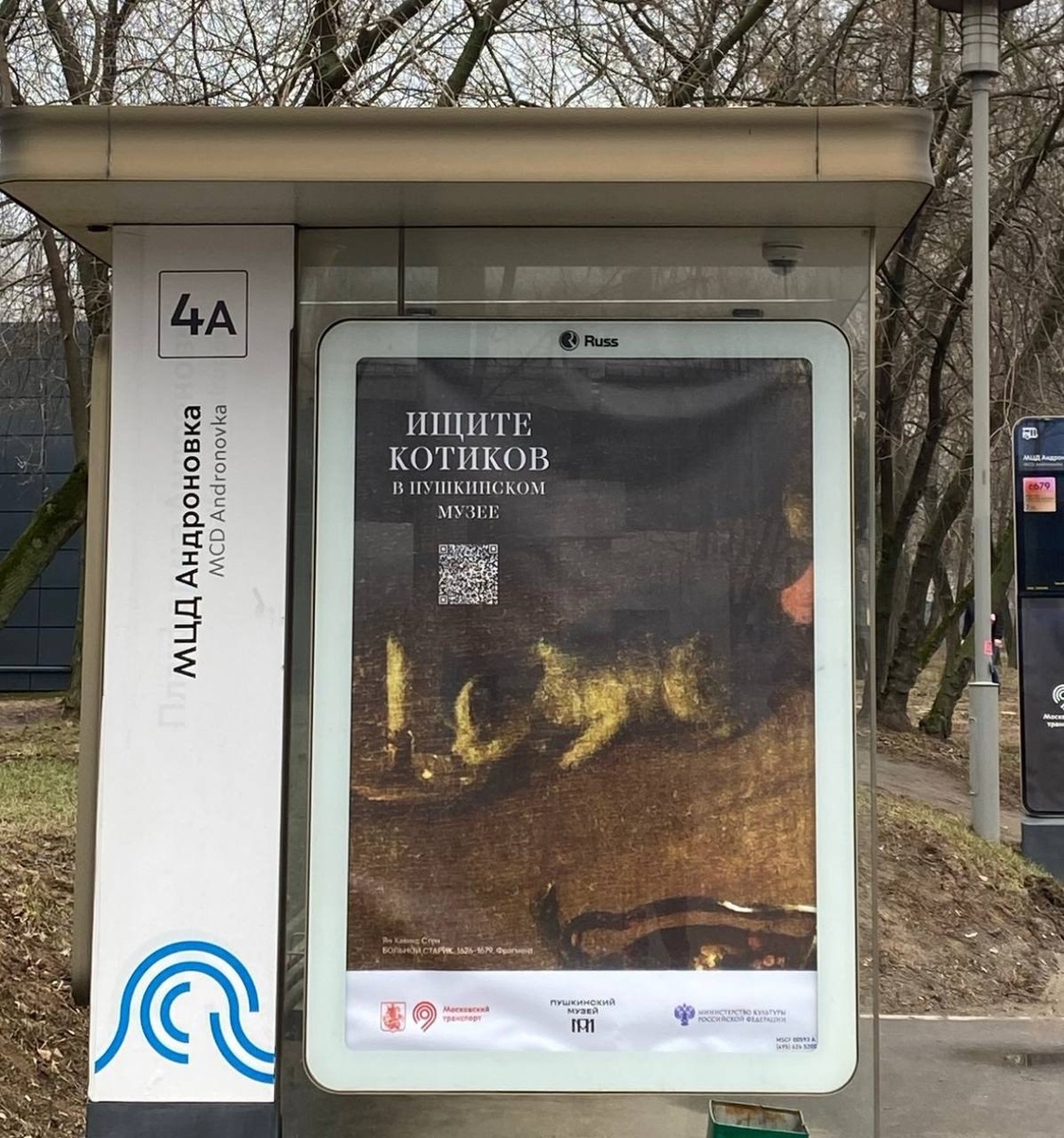 Пушкинский музей запускает акцию «Ищите котиков!»  