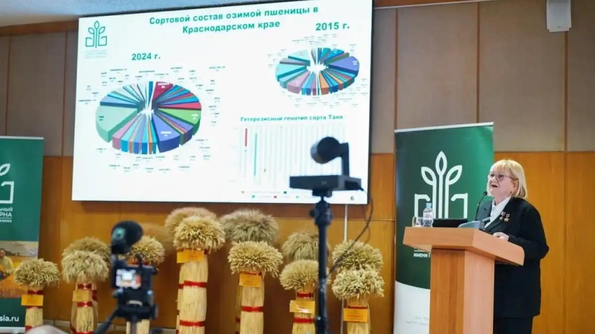 Фото:НЦЗ имени П.П. ЛукьяненкоЗаведующая отделом селекции и семеноводства пшеницы и тритикале, академика РАН, д.с.-х.н. Людмила Андреевна Беспалова