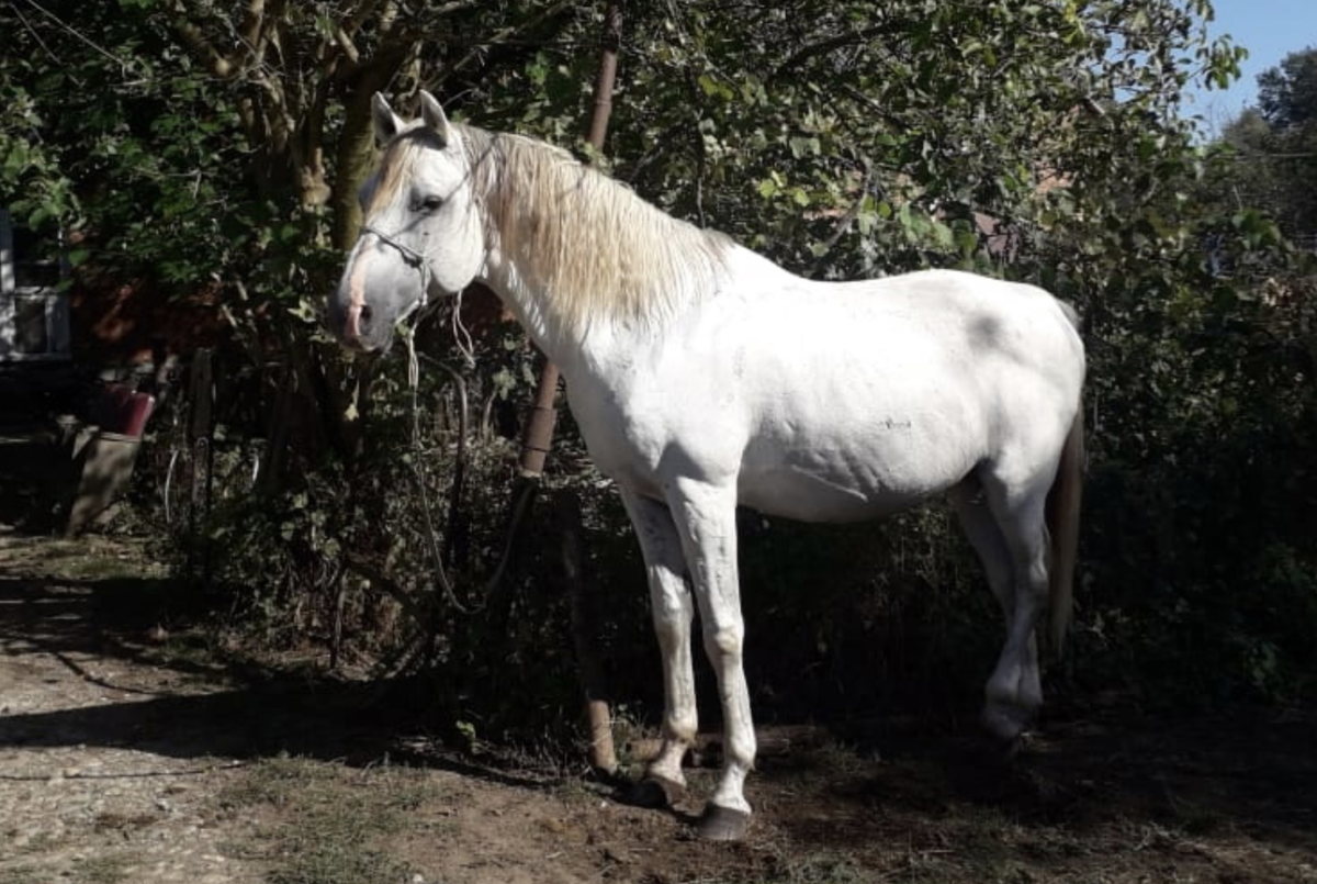 Терский Билайн