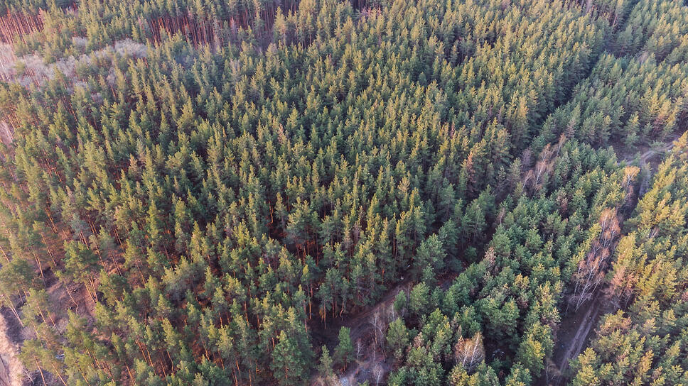 Фото: Игорь Елисеев / Коммерсантъ