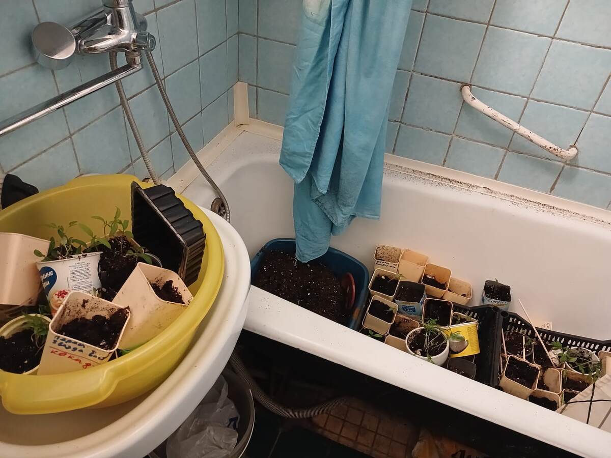 И она мне говорит" Вот что ты думаешь по этому поводу?"  Я ещё перед сном всплакнула и сказала ему, вот видишь как я без тебя готовлюсь к новому дачному сезону, и уснула. А в 4 утра  произошло вот такое вот. 