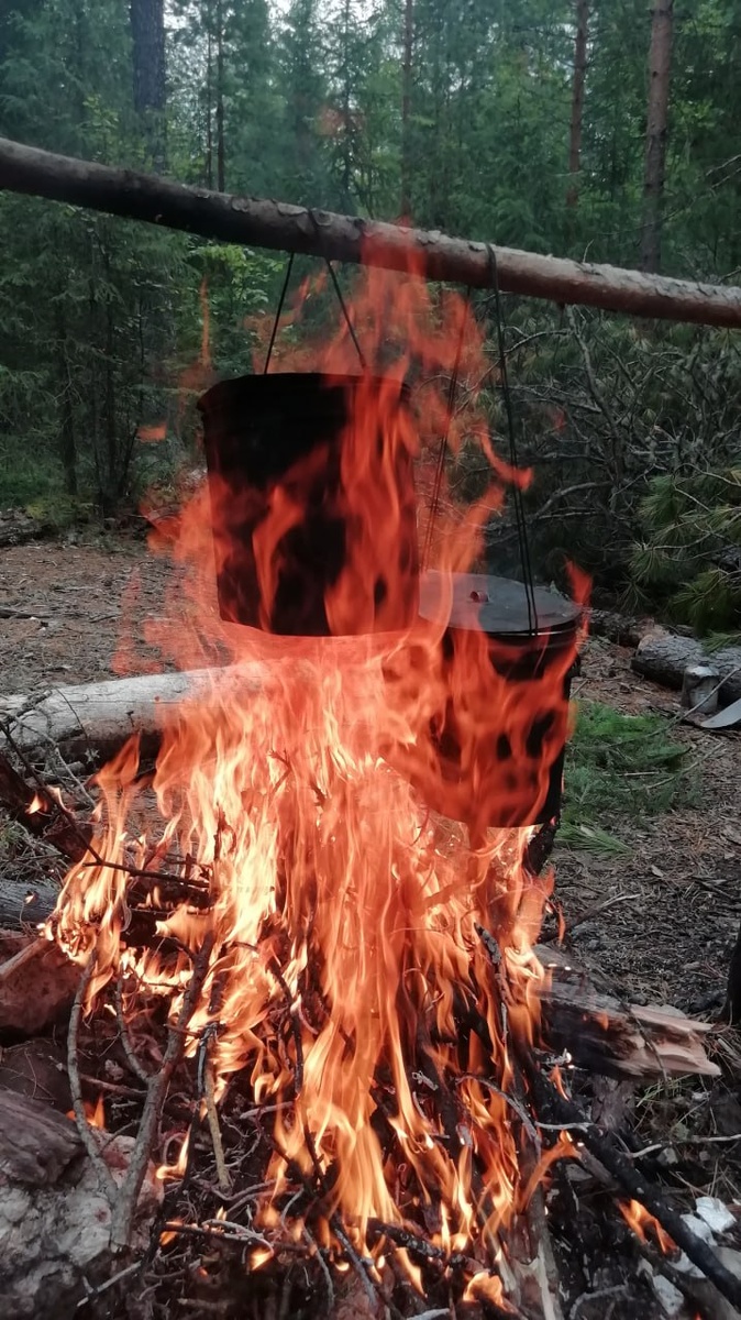 Суп, но без грибов)))