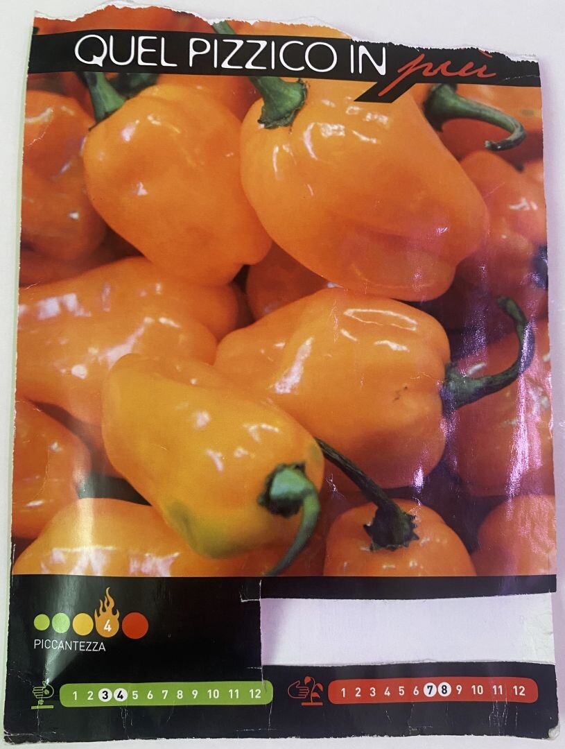 Ямайский оранжевый собственной персоной (фас)