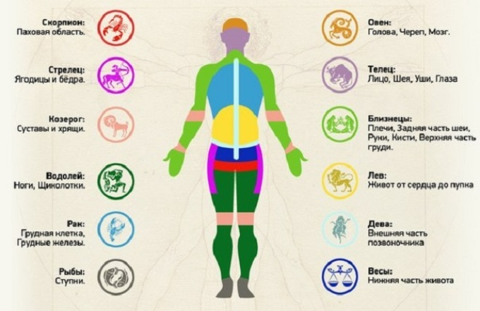 фото с Яндекса