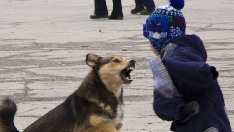Разве так должно быть? По вине людей всё это.