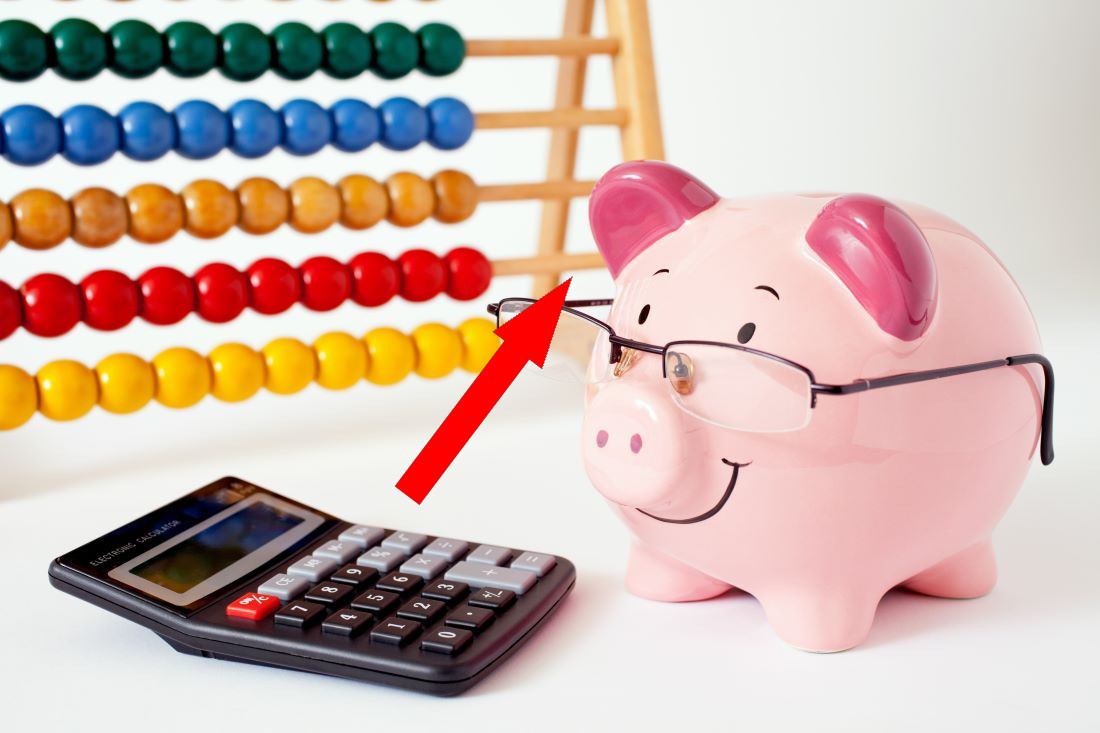    Как японка сэкономила на три дома, тратя всего 1,4 доллара в день