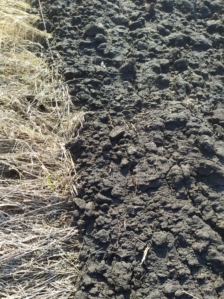 Чернозем и степь в марте