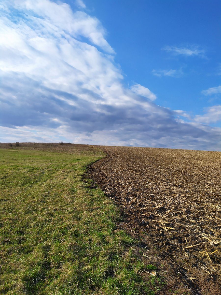 Пашня и степь в апреле