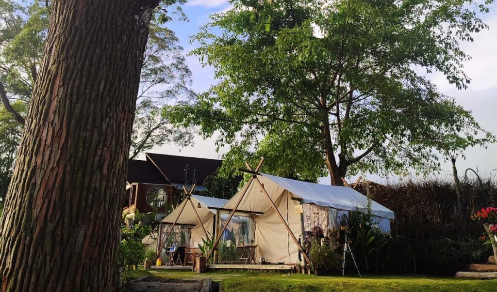    источник: unsplash (Dwi Aryasa)