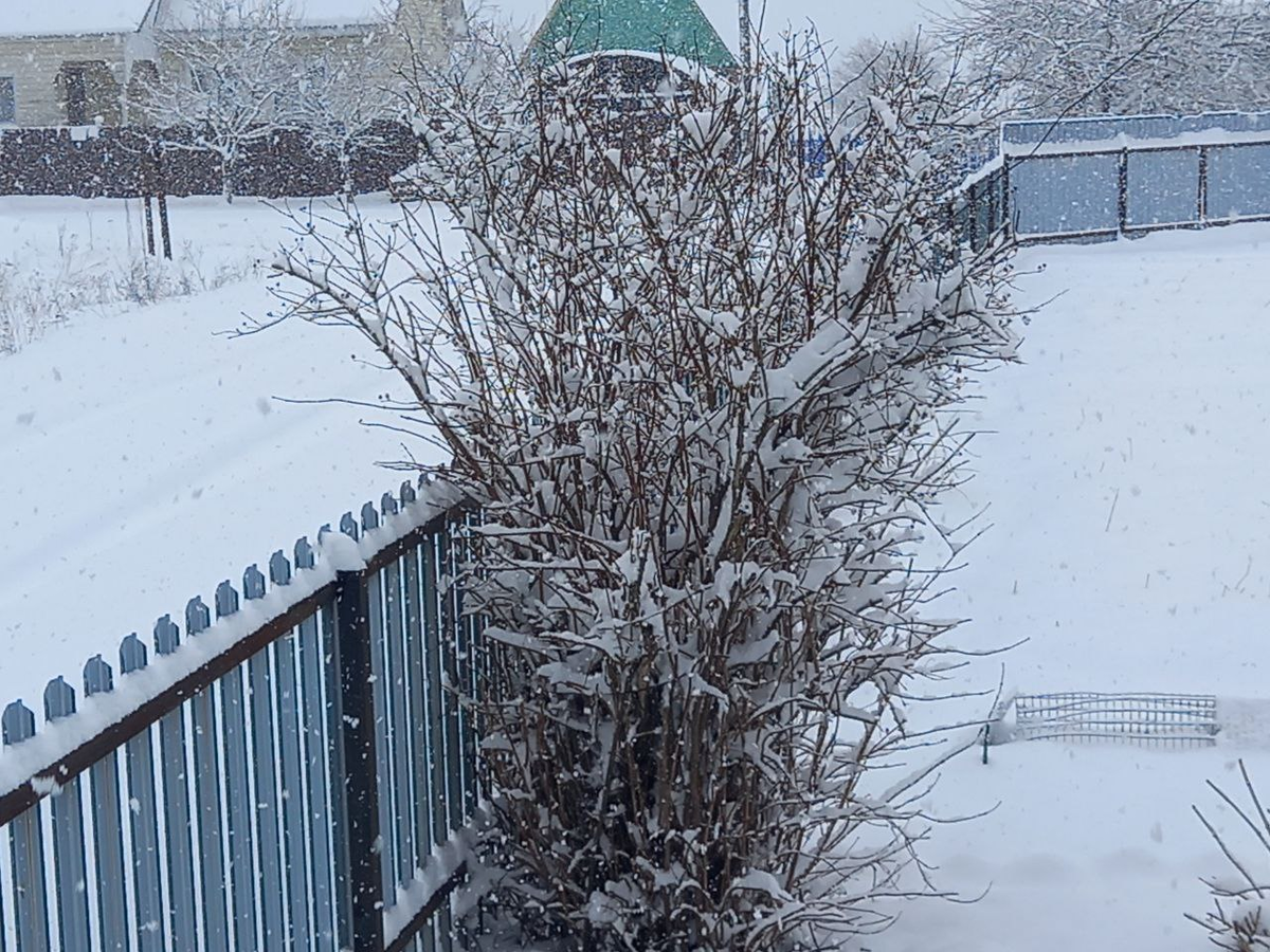 Картинка утра 15 марта. До этого была весна, и снего не было в помине. Фото автора с крыльца дома.