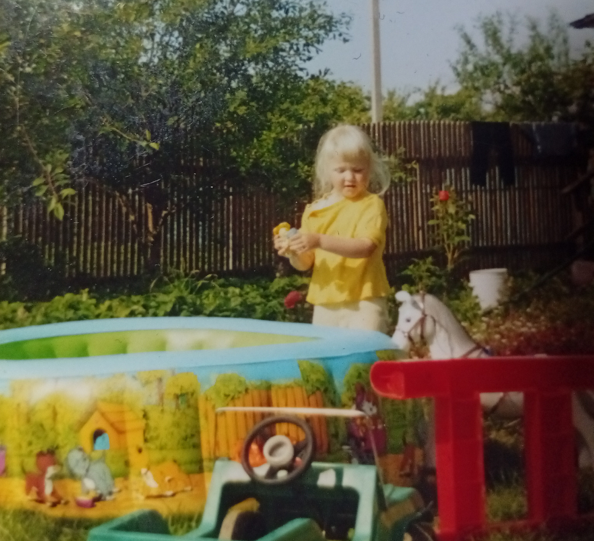 Фото из галереи автора 