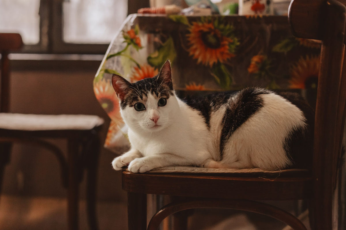 Ко мне. да, в гости ездили