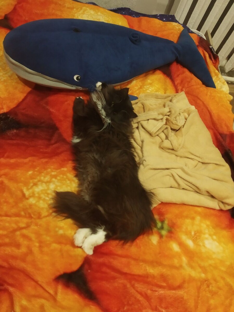 -2