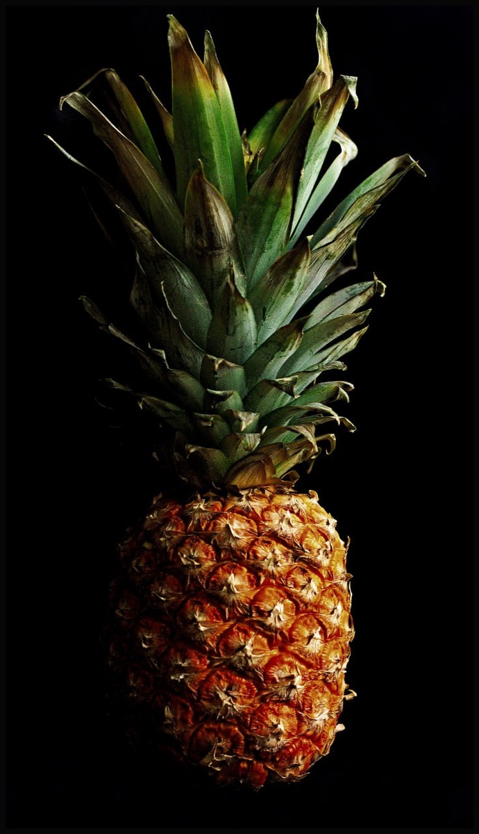 Все фото авторские. 