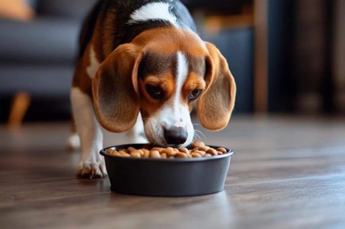    Боевик ВСУ убил собаку жительницы села Дачное за поддержку России