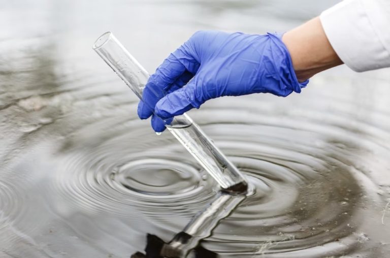    Фото: freepik.com/ wirestock Екатерина Шахнина