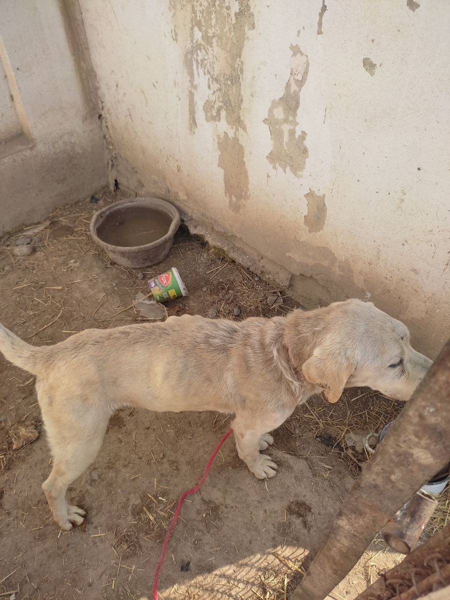 Мирон в Узбекской усыпалке