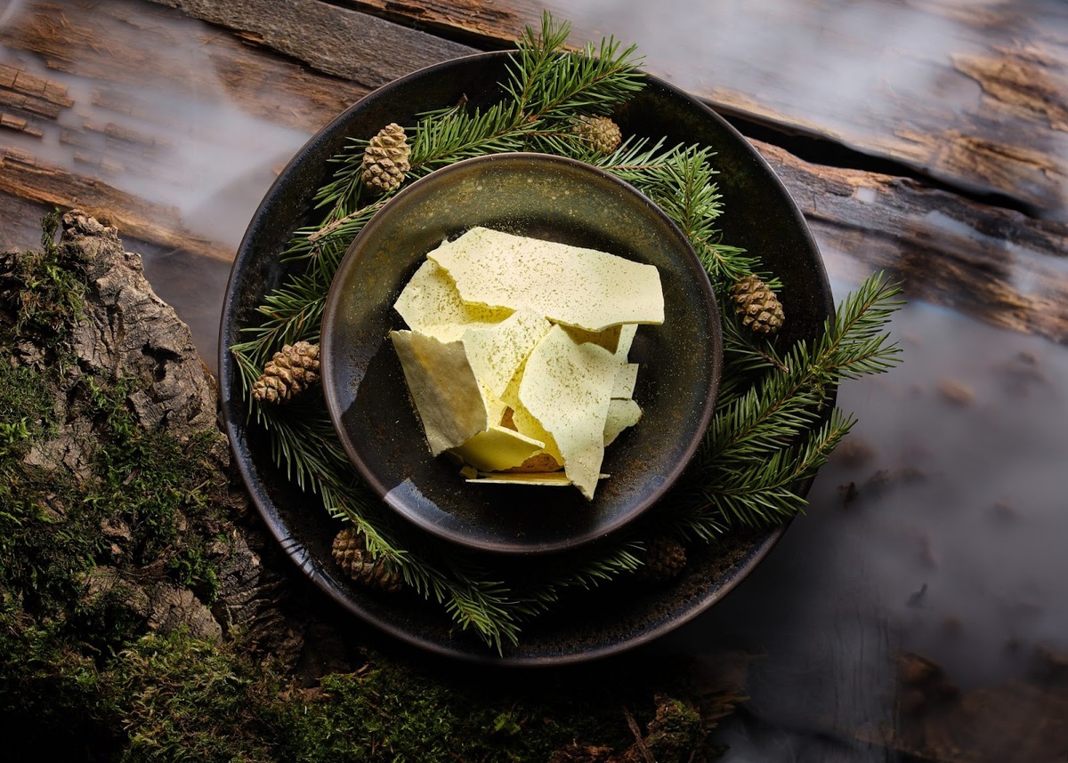 Хвойный лес. © relict.moscow