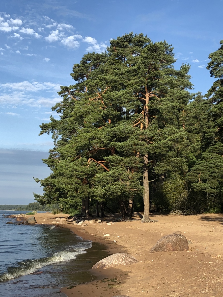 Фото автора.