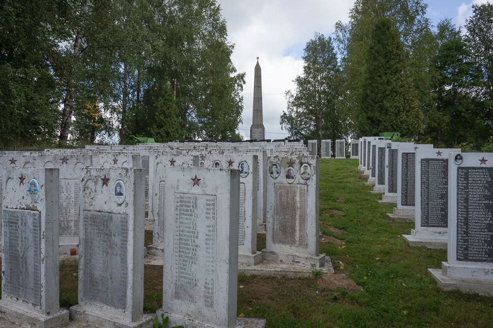 Березовая аллея в Любани. Фото с сайта https://davincispb.ru/spravochnaya/kladbishcha-v-leningradskoy-oblasti/tosnenskiy-rayon/. Взято с Яндекс.Картинки