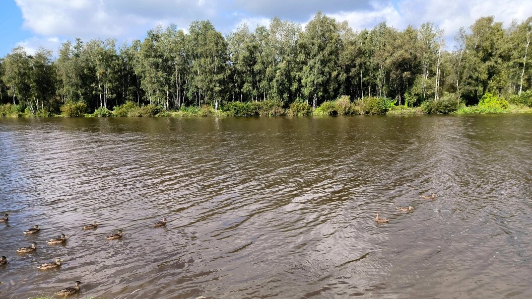    Фото: Maksim Konstantinov/Global Look Press