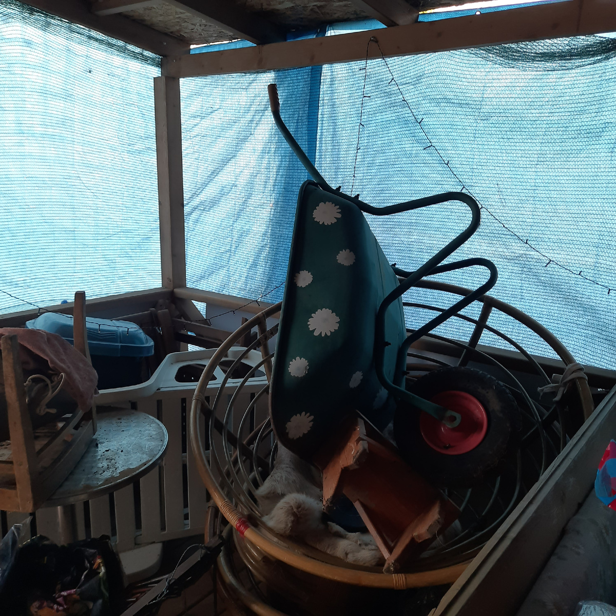 Ничего, кроме правды)). Бардак!