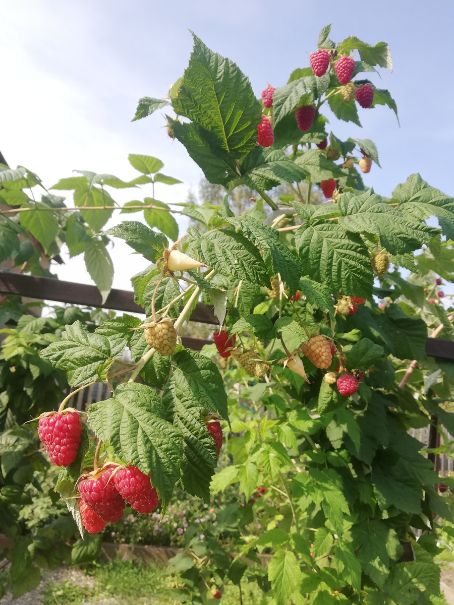 16 сентября 2023.