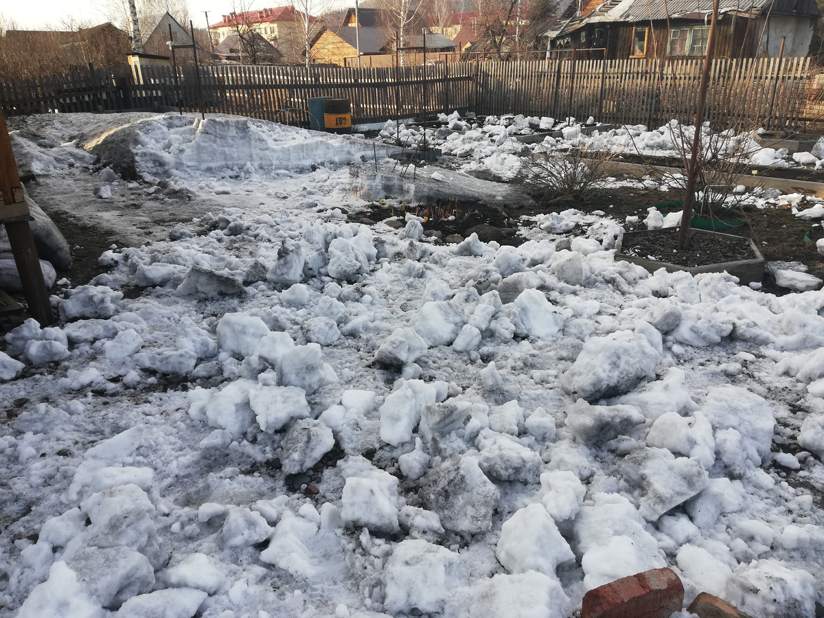 22 апреля 2023 г, раскидываем снег, чтоб быстрее таял.