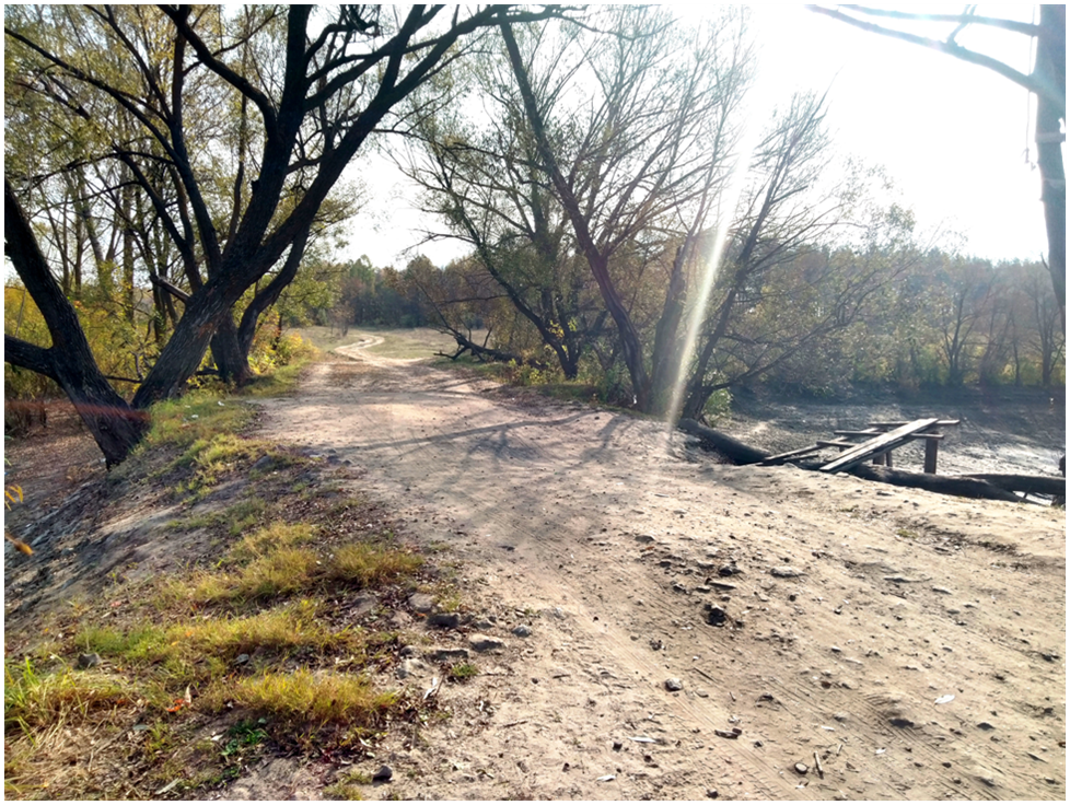 Плотина Панфиловского пруда.