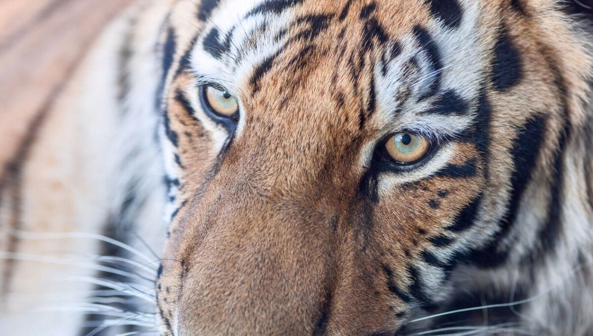     Источник: freepik.com