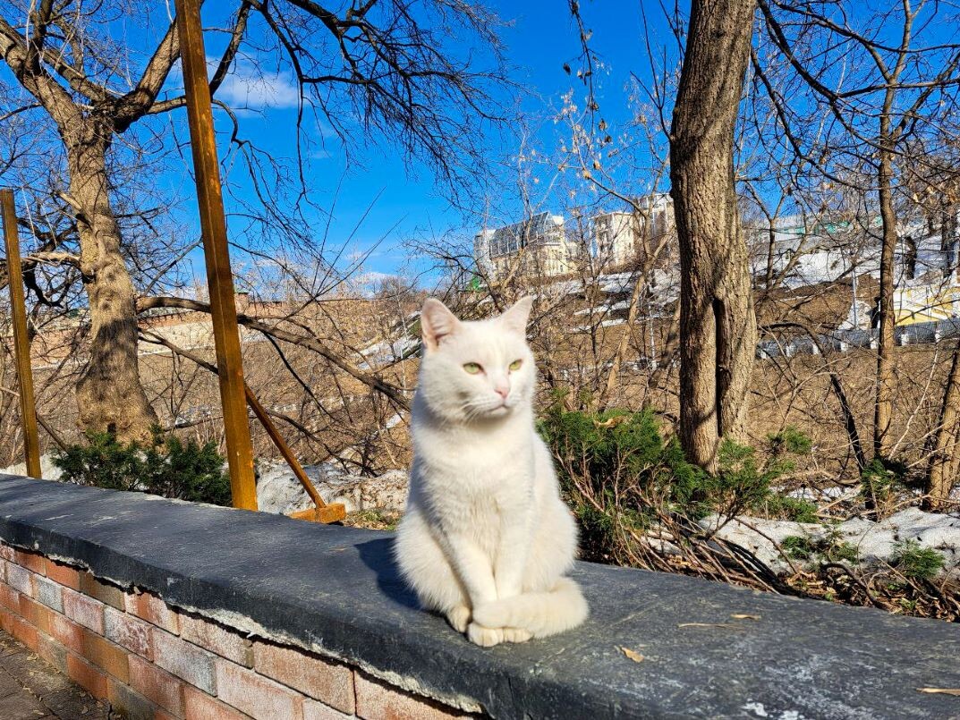Весна ощущается все сильнее.  Фото: Фото: ФедералПресс / Вера Романескул