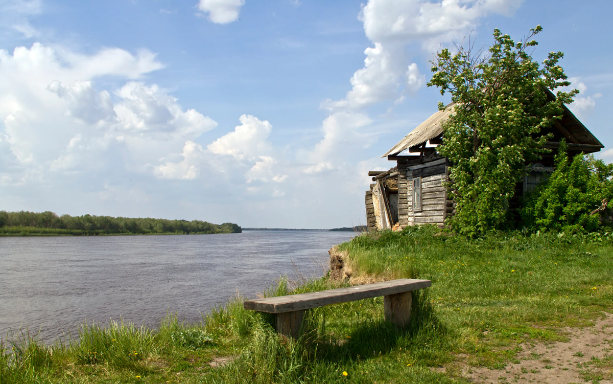Яндекс картинки