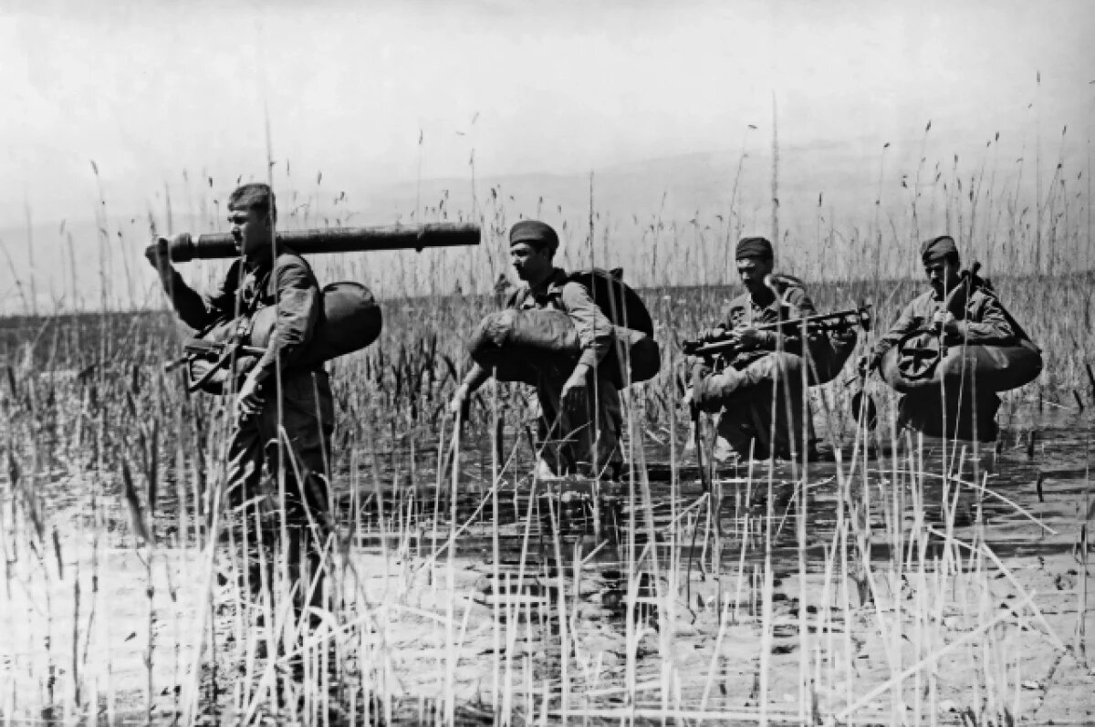    Семь месяцев с разной интенсивностью шли бои на покрытой камышами и регулярно затапливаемой водой местности практически без дорог и населённых пунктов.