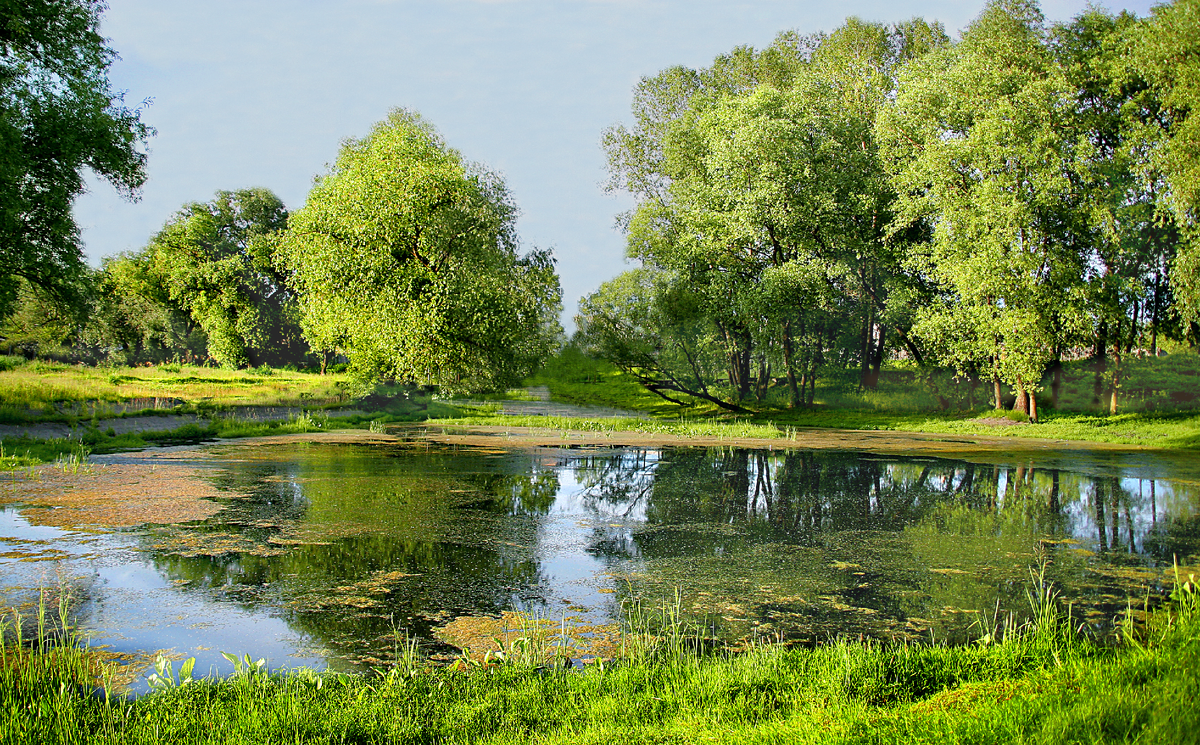 Фотография, стихотворение Василия Глуцкого