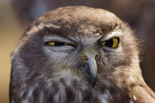 Картинка с просторов интернета