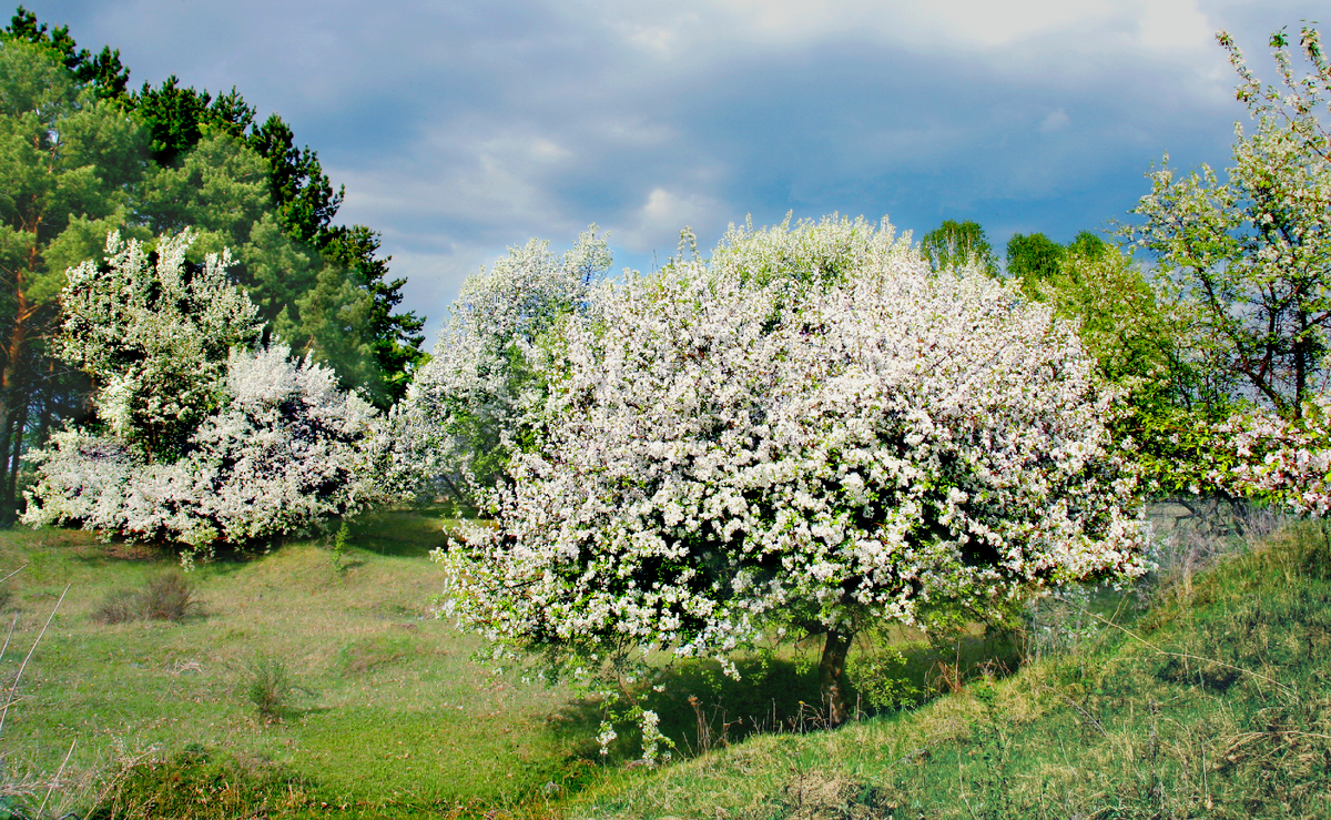 Фотография, стихотворение Василия Глуцкого