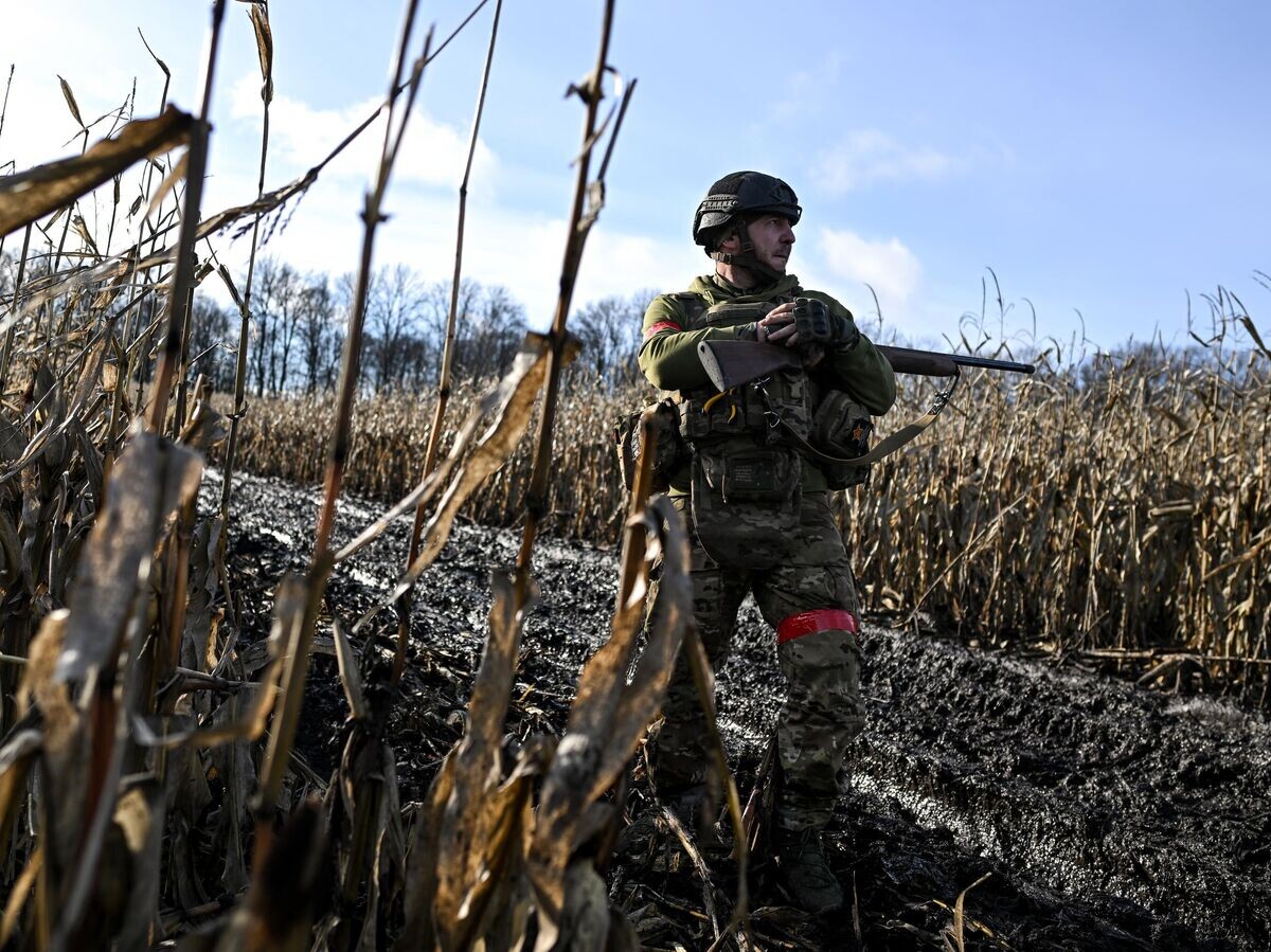    Военнослужащий ВС РФ в Курской области© РИА Новости / Сергей Бобылев