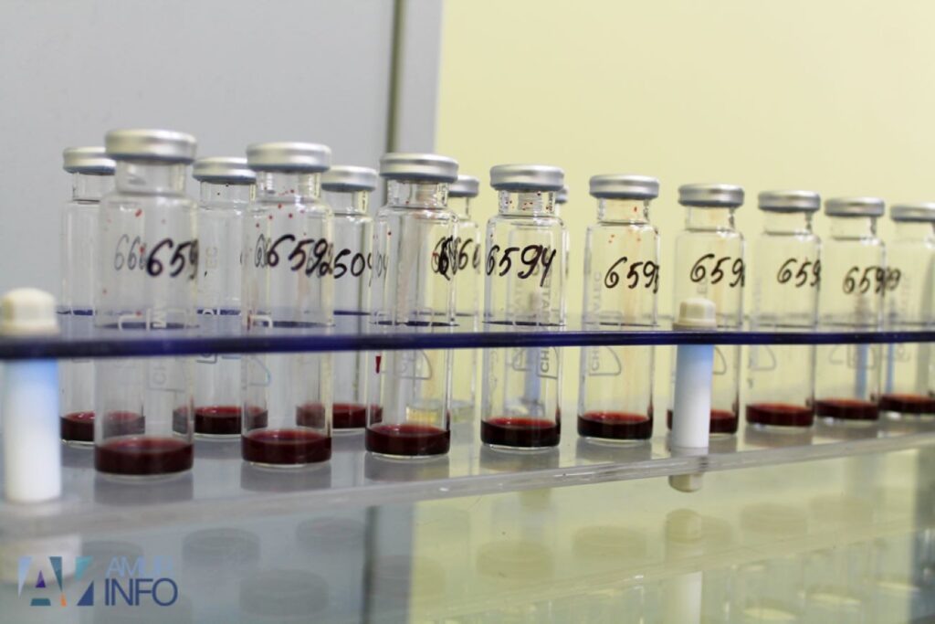    Фото: Амур.инфо