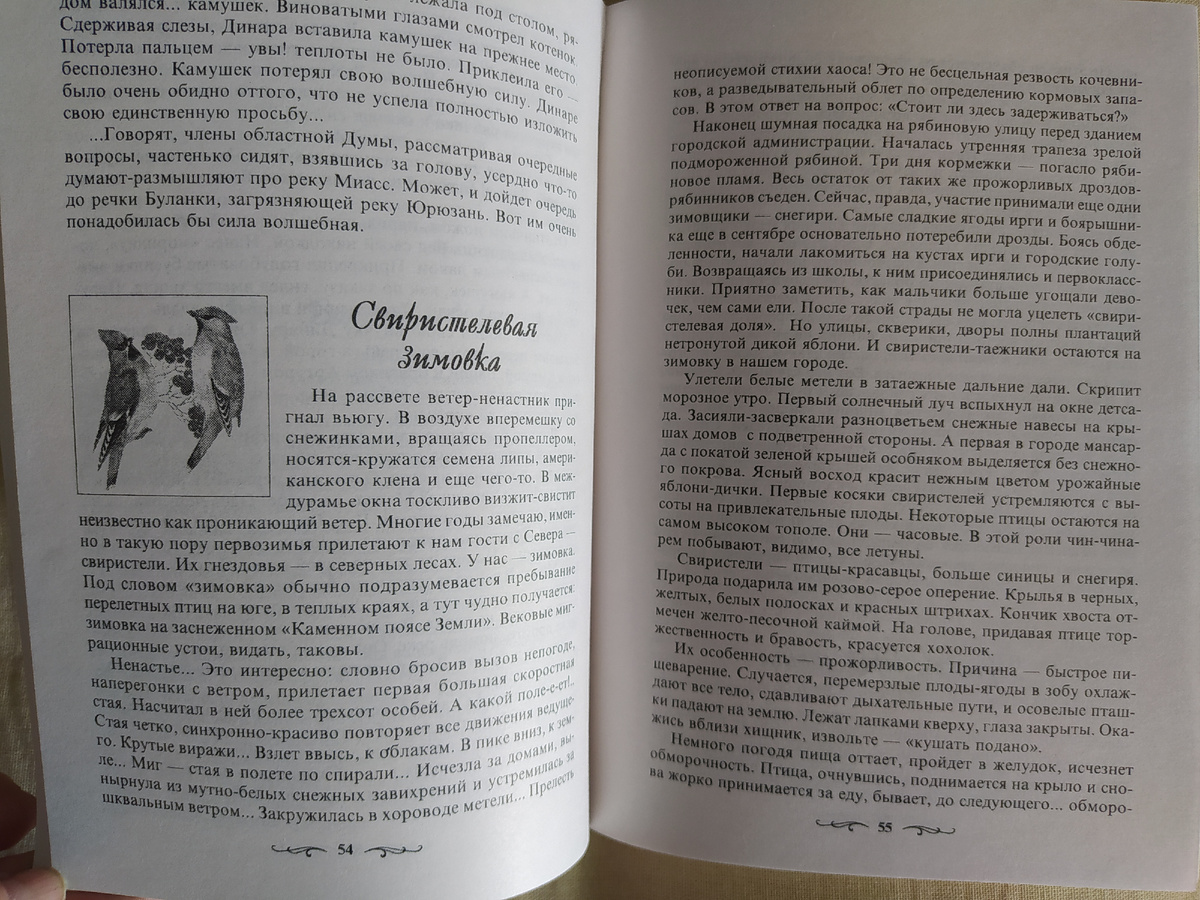 Страничка из книги Г. Таймасова "Волшебный камушек"