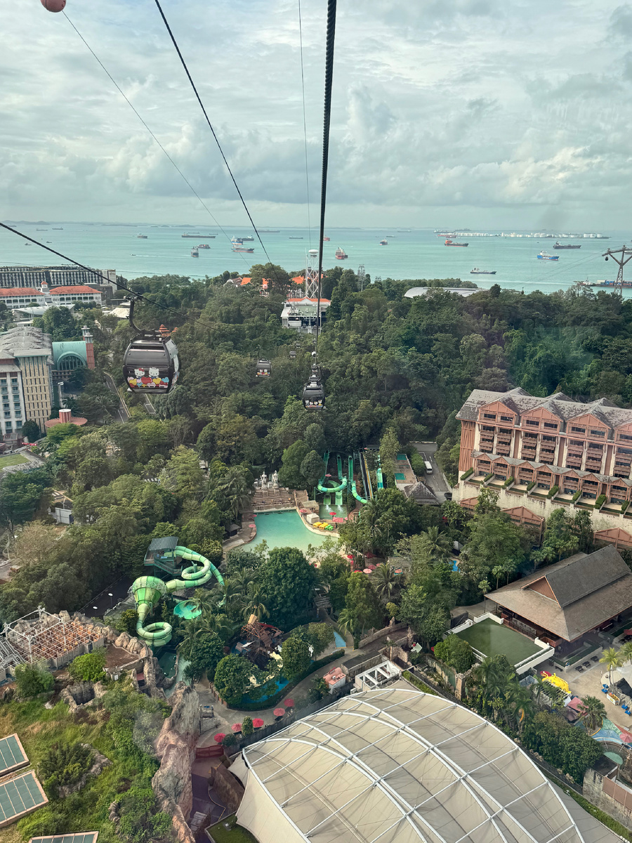 Спуск по канатной дороге на о.Сентоза