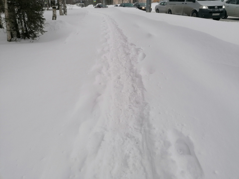   Жители Петрозаводска прокладывают в городе тропинки после снегопада"Фактор"