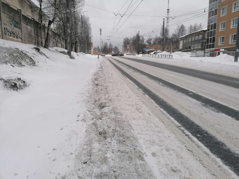    Жители Петрозаводска прокладывают в городе тропинки после снегопада"Фактор"
