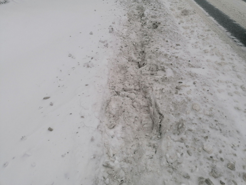    Жители Петрозаводска прокладывают в городе тропинки после снегопада"Фактор"