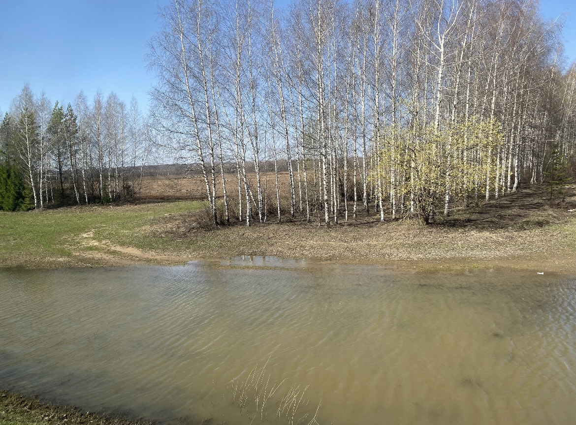 Очень широкий ручей 😂. Апрель 2024