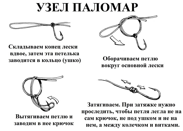 Умение вязать рыболовные узлы: как стать мастером снасти - Паломарный узел