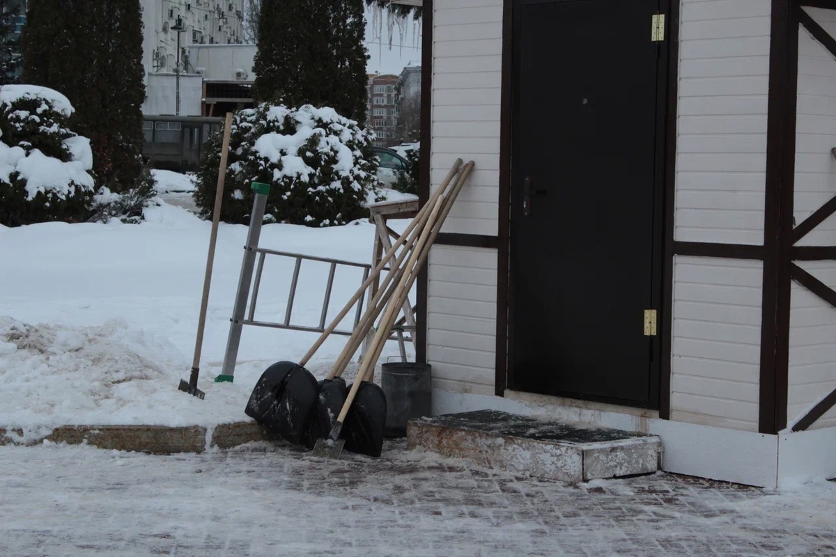    Фото: Марина Куцина