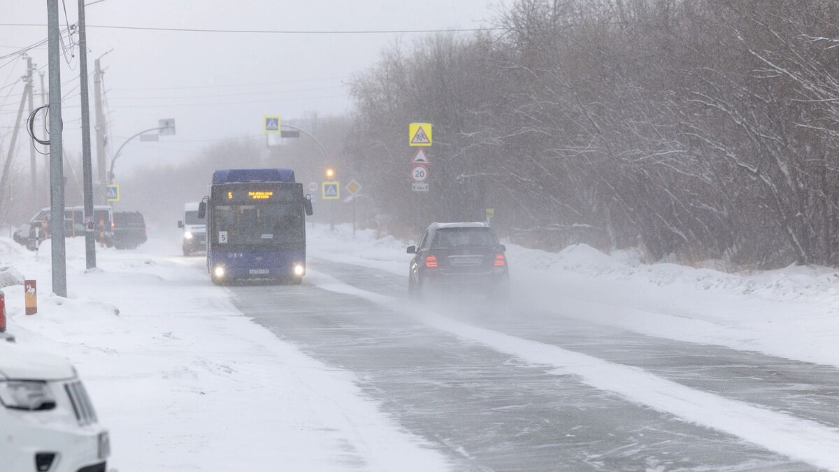    Фото: Александр Чирва/«Ямал-Медиа»